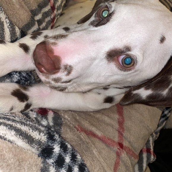 Back on posh.. starting up all new!!Miss you guys - Picture 3 of 7